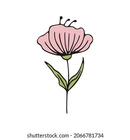 Cute single hand drawn floral elements. Doodle vector illustration