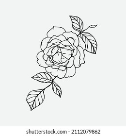 Cute single hand drawn floral elements.Doodle vector illustration for wedding design.