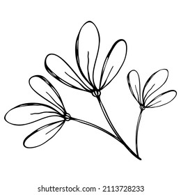 Cute single hand drawn floral elements in doodle style