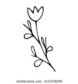 Cute single hand drawn floral elements in doodle style