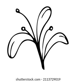 Cute single hand drawn floral elements in doodle style