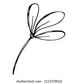 Cute single hand drawn floral elements in doodle style