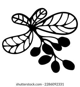 Cute single hand drawn floral elements. Doodle vector illustration for wedding design, logo and greeting card.