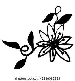 Cute single hand drawn floral elements. Doodle vector illustration for wedding design, logo and greeting card.