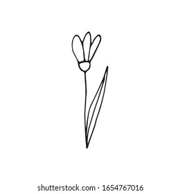 Cute single hand drawn flowers snowdrop. Spring blossom. Doodle vector illustration for wedding design, logo, greeting card and seasonal Easter design.
