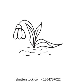 Cute single hand drawn flowers snowdrop. Spring blossom. Doodle vector illustration for wedding design, logo, greeting card and seasonal Easter design.