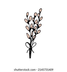Cute single hand drawn flowers willow. Spring blossom.