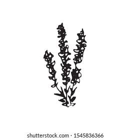 Cute single hand drawn herbal elements. Doodle vector illustration for wedding design, logo and greeting card.  
