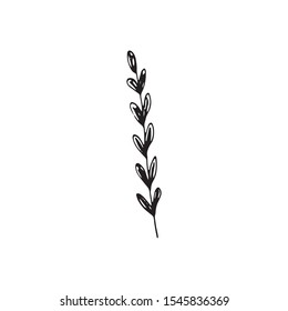 Cute single hand drawn herbal elements. Doodle vector illustration for wedding design, logo and greeting card.  