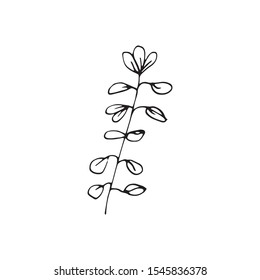 Cute single hand drawn herbal elements. Doodle vector illustration for wedding design, logo and greeting card.  