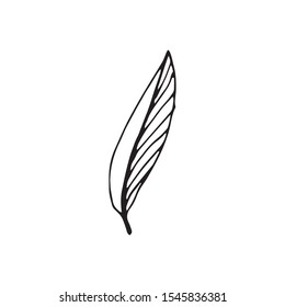 Cute single hand drawn herbal elements. Doodle vector illustration for wedding design, logo and greeting card.  