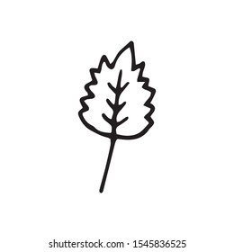 Cute single hand drawn herbal elements. Doodle vector illustration for wedding design, logo and greeting card.  