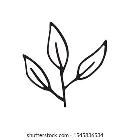 Cute single hand drawn herbal elements. Doodle vector illustration for wedding design, logo and greeting card.  