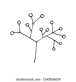 Cute single hand drawn herbal elements. Doodle vector illustration for wedding design, logo and greeting card.  