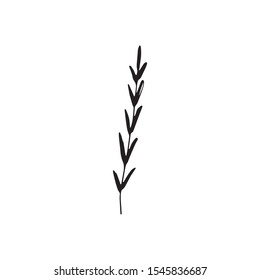 Cute single hand drawn herbal elements. Doodle vector illustration for wedding design, logo and greeting card.  