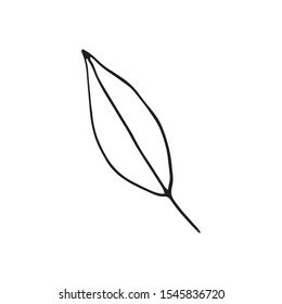Cute single hand drawn herbal elements. Doodle vector illustration for wedding design, logo and greeting card.  
