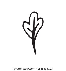 Cute single hand drawn herbal elements. Doodle vector illustration for wedding design, logo and greeting card.  