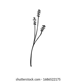 Cute single hand drawn herbal elements. Isolated over white background. Doodle vector illustration for wedding design, logo and greeting card.