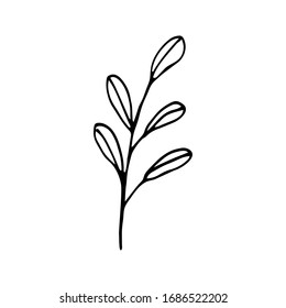 Cute single hand drawn herbal elements. Isolated over white background. Doodle vector illustration for wedding design, logo and greeting card.