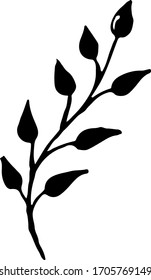 Cute single hand drawn herbal elements. Doodle vector illustration for wedding design, logo and greeting card. Traditional hand drawn spring flowers in ink style.
