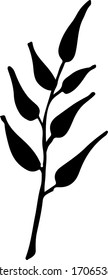 Cute single hand drawn herbal elements. Doodle vector illustration for wedding design, logo and greeting card. Traditional hand drawn spring flowers in ink style.