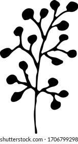 Cute single hand drawn herbal elements. Doodle vector illustration for wedding design, logo and greeting card. Traditional hand drawn spring flowers in ink style.