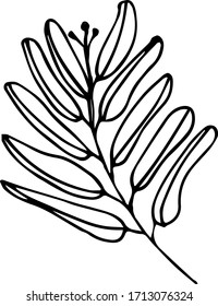 Kräuterelemente mit nur einer Hand zeichnen. Doodle Vektorillustration Illustration für Hochzeitsdesign, Logo und Grußkarte. Traditionelle handgezeichnete Frühlingsblumen im Farbstil.