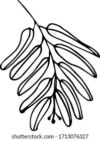 Cute single hand drawn herbal elements. Doodle vector illustration for wedding design, logo and greeting card. Traditional hand drawn spring flowers in ink style.