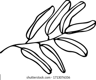 Cute single hand drawn herbal elements. Doodle vector illustration for wedding design, logo and greeting card. Traditional hand drawn spring flowers in ink style.