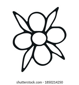 Elemento herbario dibujado a mano. Icono de doodle floral simple