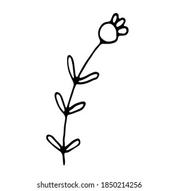 Cute single hand drawn herbal element. Simple floral doodle icon
