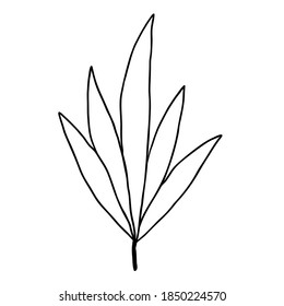 Elemento vegetal de una sola mano