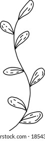 Cute single hand drawn herbal elements. Doodle vector illustration for wedding design, logo and greeting card. Isolated on white background.