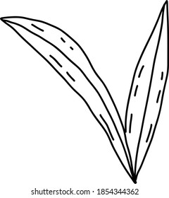 Elementos herbales dibujados a mano. Ilustración del vector Doodle para el diseño de bodas, logotipo y tarjeta de saludo. Aislado sobre fondo blanco.