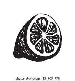 Cute single hand drawn lemon for menu or recipe. Doodle vector illustration. Fresh and tasty.