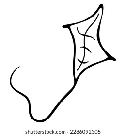 Cute single hand drawn summer set elements. Doodle vector illustration for wedding design, logo and greeting card.