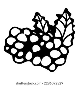 Cute single hand drawn summer set elements. Doodle vector illustration for wedding design, logo and greeting card.