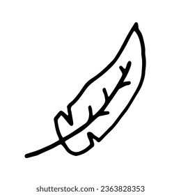 Cute single hand-drawn feather element. Doodle vector illustration for wedding design, logo, and greeting card.