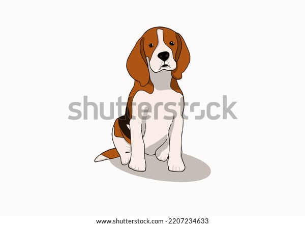 17,576 Beagle Face Images, Stock Photos & Vectors 