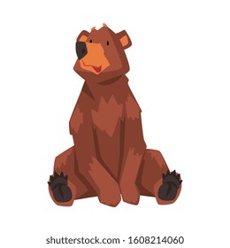 Cute Sitting Brown Bear, Wild Forest Animal Character Cartoon Vector illustration