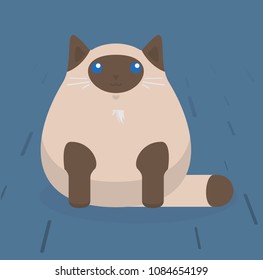 Cute sitting cat. White cat with stains. Flat vector illustration