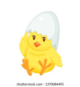 Cute sitting chicken under the egg shell, vector illustration