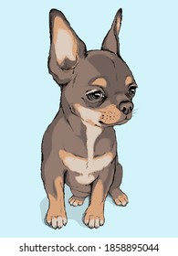 Cute sitting chihuahua sketch.
Portrait of a dog made in hand drawn style. Drawn puppy