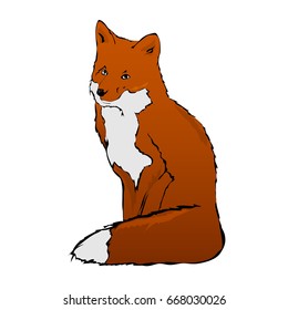 Cute sitting fox. Vector illustration