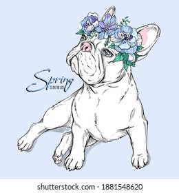 Cute sitting french bulldog girl in a flower wreath. Spring is in the air illustration. Stylish image for printing on any surface