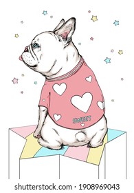 Cute sitting french bulldog puppy . Summer illustration. Stylish image for printing on any surface	