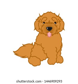 Cute Sitting Goldendoodle Cartoon Vector Illustration