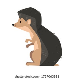 Cute Sitting Hedgehog, Adorable Prickly Wild Forest Animal Cartoon Character, Side View Vector Illustration