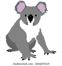 Cute sitting koala vector graphic illustration