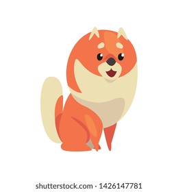 Cute Sitting Pomeranian Spitz, Funny Pet Dog Cartoon Character Vector Illustration